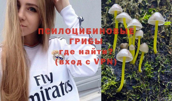 метамфетамин Алексеевка